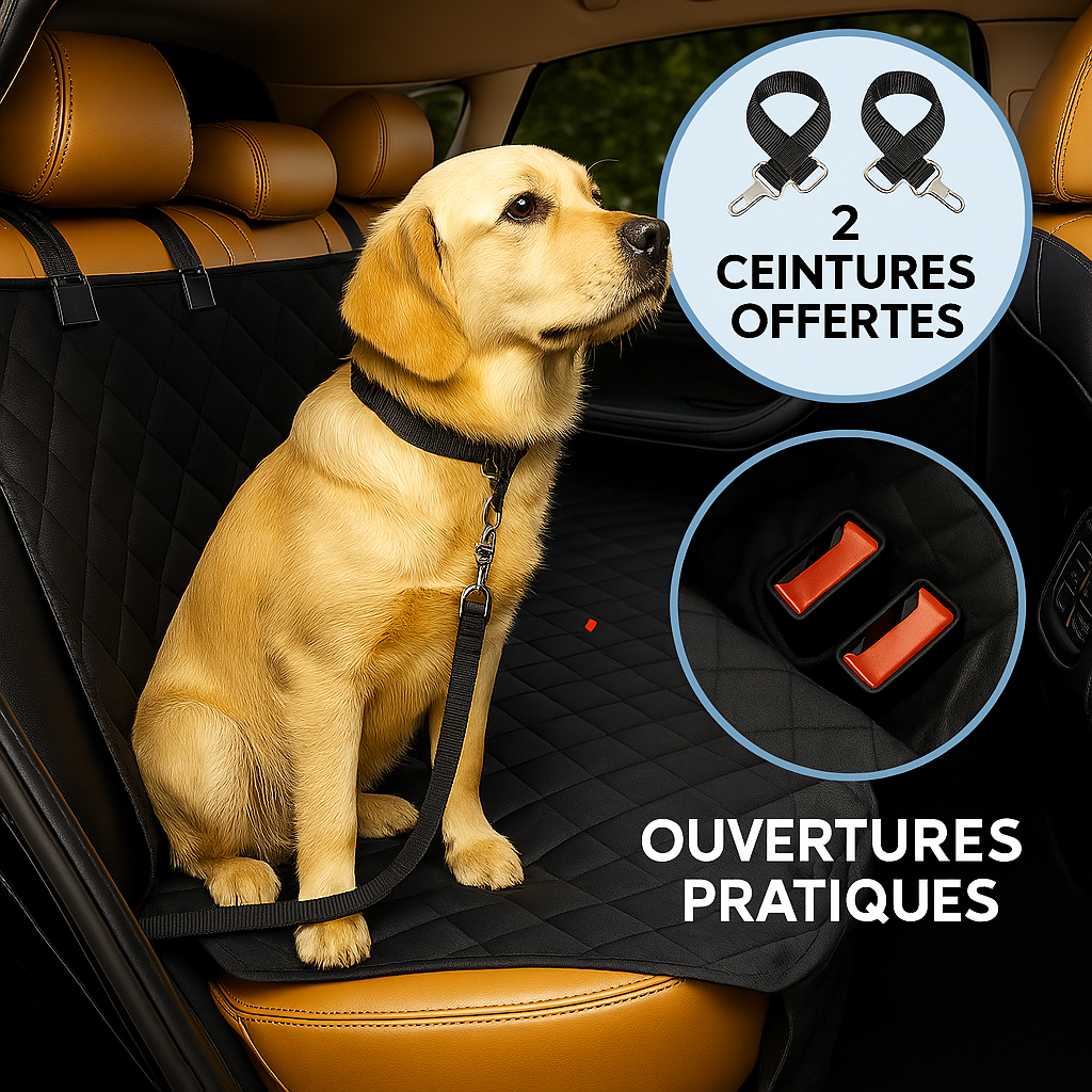 Housse de protection voiture pour chien | CaniMoov+