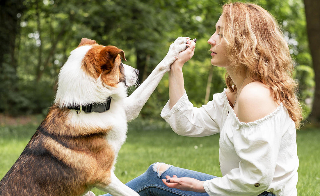 Onze inzet voor dierenwelzijn