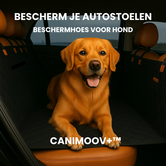 CaniMoov+™ | Protection voiture pour chien